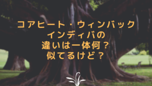 コアヒート・ウィンバック・インディバの違いは一体何？似てるけど？