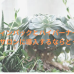 ウィンバックとハイパーナイフ、エステサロンに導入するならどっち？！