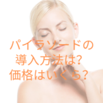 パイラソードの導入方法は?価格はいくら?
