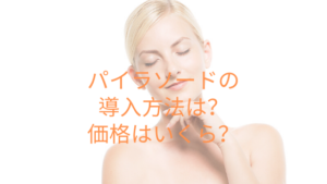 パイラソードの導入方法は？価格はいくら？