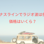 ヴィーナスラインでラジオ波は使える？価格はいくら？
