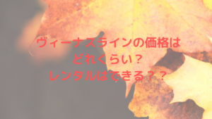 ヴィーナスラインの価格はどれくらい？レンタルはできる？？