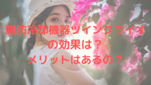 脂肪冷却機器ツインクライオ