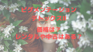 ピグメンテーションデトックスⅡの値段は？中古やレンタルはある？にお答え