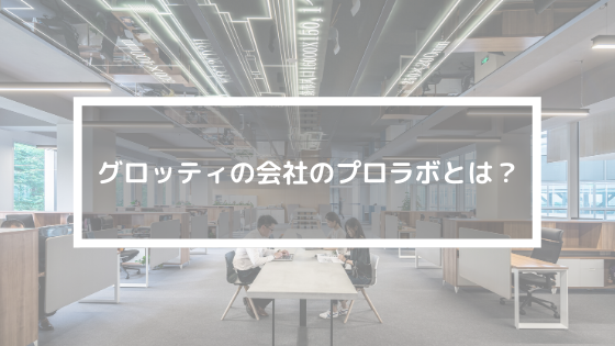 グロッティの会社のプロラボとは どんな会社なのかを紹介します