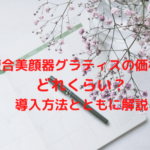 複合美顔器グラティスの価格はどれくらい？導入方法とともに解説
