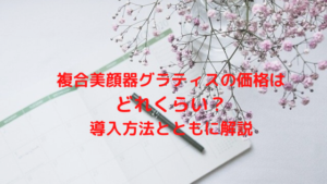複合美顔器グラティスの価格はどれくらい？導入方法とともに解説