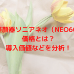 複合美顔器ソニアネオ（NEO603）の価格とは？導入価値などを分析！