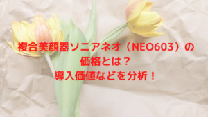 複合美顔器ソニアネオ（NEO603）の価格とは？導入価値などを分析！