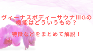 ヴィーナスボディーサウナⅢGの機能はどういうもの？特徴などをまとめて紹介！