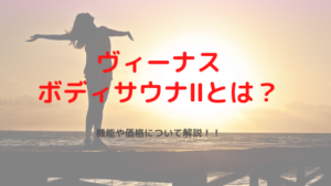 ヴィーナスボディサウナⅡとは？機能や価格について解説!!