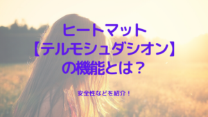 ヒートマット「テルモシュダシオン」の機能とは？安全性などを紹介！