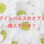 ディープインパルスのオプションは購入すべき?