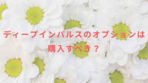 ディープインパルスのオプションは購入すべき？