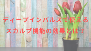 ディープインパルスで使えるスカルプ機能の効果とは？