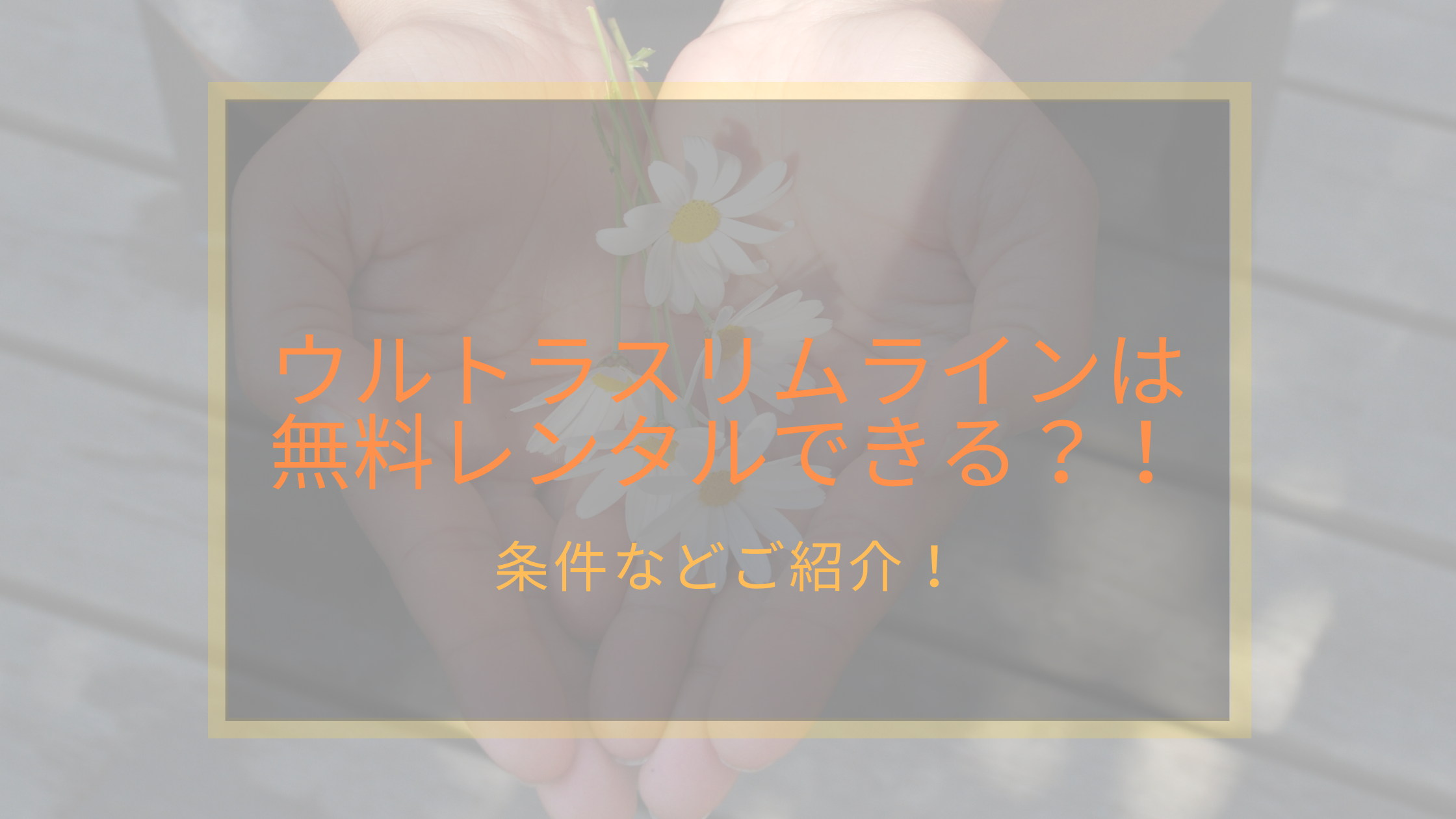 ウルトラスリムラインは無料レンタルができるって本当？なにか条件があるの？