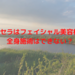 リブセラはフェイシャル美容機器?全身施術はできない?