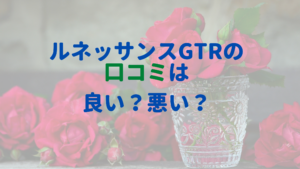 ルネッサンスGTRの口コミってどうなの？本当のところは良い？それとも悪い？