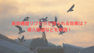 美容機器リブセラで得られる効果は？導入価値などを解説！