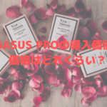 PEGASUS PROの導入価値は？価格はどれくらい？