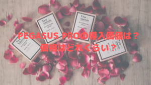 PEGASUS PROの導入価値は？価格はどれくらい？
