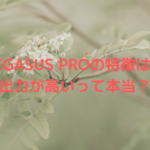 PEGASUS PROの特徴は?出力が高いって本当?