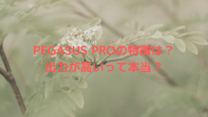 PEGASUS PROの特徴は？出力が高いって本当？