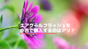 エアクールフラッシュを中古で購入するのはアリ？