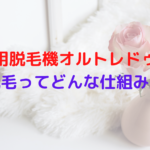 業務用脱毛機オルトレドゥエの脱毛ってどんな仕組み？光脱毛なの？