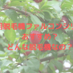業務用脱毛機ファルコンシリーズはおすすめ？どんな脱毛機なの？
