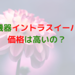 業務用痩身機器イントラスイーパーの価格っていくら？高いって本当？