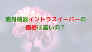 業務用痩身機器イントラスイーパーの価格っていくら？高いって本当？