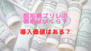 脱毛機プリレの価格はいくら導入価値はある？