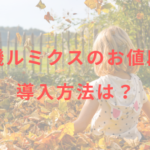脱毛機ルミクスのお値段は？導入方法は？