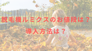 脱毛機ルミクスのお値段は？導入方法は？