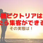脱毛機ビクトリアは導入したら集客ができる？その実態は！