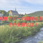 脱毛機アビー(abbey)の価格は手頃?その金額とは!