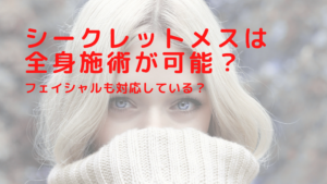 シークレットメスは全身施術が可能？フェイシャルも対応している？