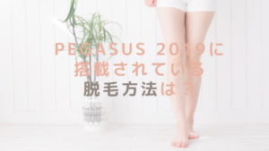 PEGASUS 2019に搭載されている脱毛方法は？