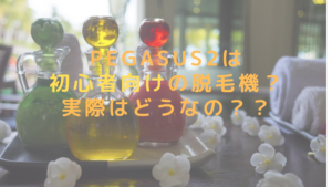 PEGASUS2は初心者向けの脱毛機？実際はどうなの？？