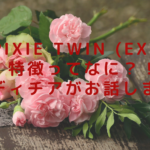 pixie twin (EX)の特徴ってなに？！レディチアがお話します♡