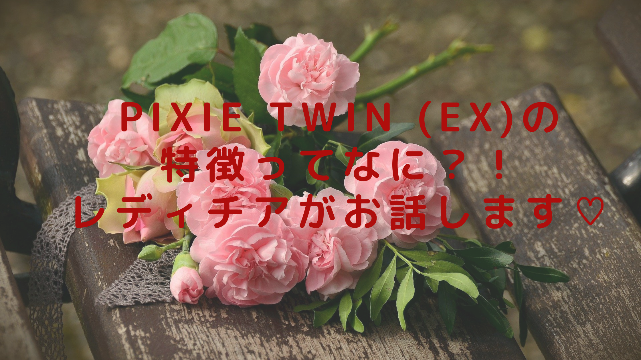 pixie twin (EX)の特徴ってなに？！レディチアがお話します♡