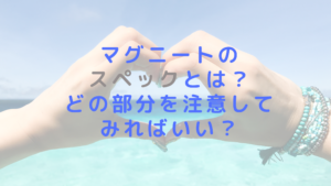 マグニートのスペックとは？どの部分を注意してみればいい？