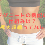 マグニートの機能の仕組みは？超極大収縮ってなに？