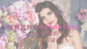 業務用脱毛機PEGASUS2ってどうなの？導入価値は？