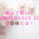 高い？安い？脱毛機PEGASUS 2019の価格とは！