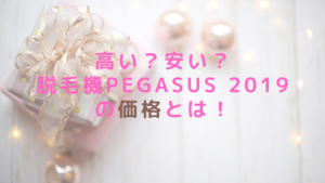 高い？安い？脱毛機PEGASUS 2019の価格とは！