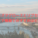 プラズマグロースとリブセラ！プラズマ機器でおすすめはどっち？